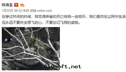 作(zuò)家(jiā)林清(qīng)玄去(qù)世